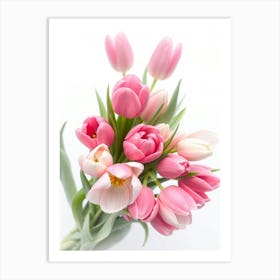 Pink Tulips 2 Art Print