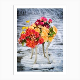 Winter Arrangement Art Print