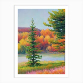 Norway Spruce Tree Watercolour Art Print