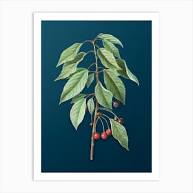 Vintage Wild Cherry Botanical Art on Teal Blue n.0306 Art Print