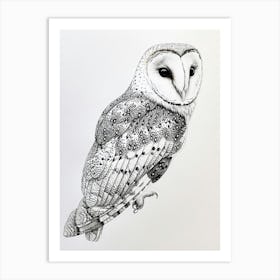 Oriental Bay Owl Drawing 1 Art Print