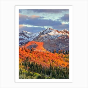 Autumn In Colorado Art Print