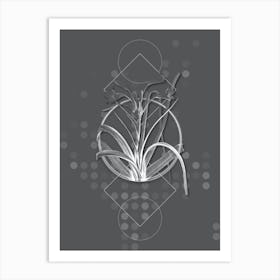 Vintage Malgas Lily Botanical with Line Motif and Dot Pattern in Ghost Gray n.0232 Art Print