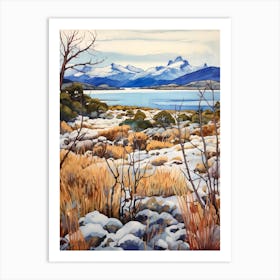 Nahuel Huapi National Park Argentina 4 Art Print