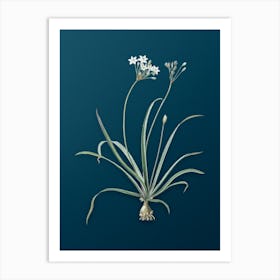 Vintage Allium Fragrans Botanical Art on Teal Blue n.0723 Art Print