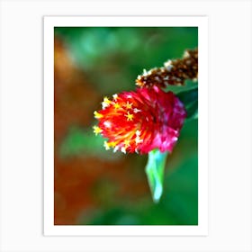 Flower 4 1 Art Print