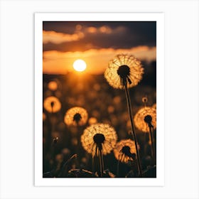 Sunset Dandelion Art Print