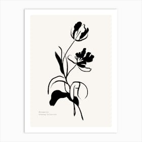 Black And White Tulips Art Print