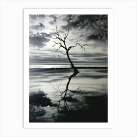 Lone Tree 21 Art Print