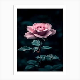 Pink Rose 9 Art Print