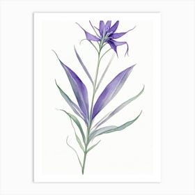 Spiderwort Leaf Minimalist Watercolour 1 Art Print