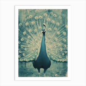 Vintage Turquoise Peacock On The Path 3 Art Print