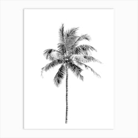 Palm Tree Art Print