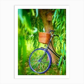 Bicycle Bird Box & Willow Tree Art Print