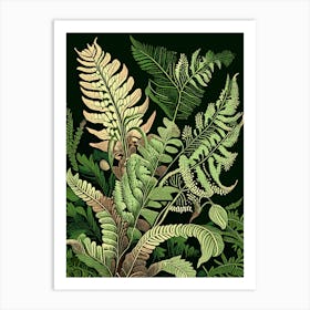 Bracken Fern Wildflower Vintage Botanical 1 Art Print