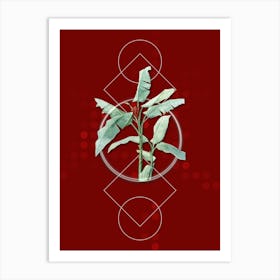Vintage Scarlet Banana Botanical with Geometric Line Motif and Dot Pattern n.0157 Art Print