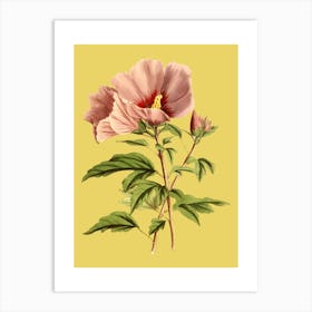 Hibiscus 1 Art Print
