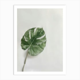 Monstera Leaf 1 Art Print