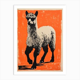 Alpaca, Woodblock Animal Drawing 4 Art Print