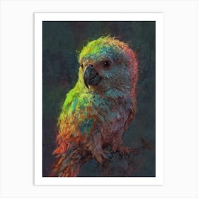 Colorful Parrot 26 Art Print