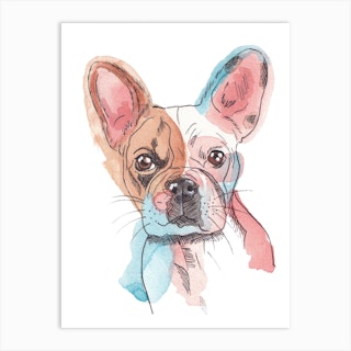 Mercedes Lopez Charro - Frenchie Fashion Dog - STYLE & FASHION