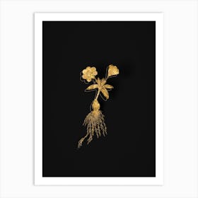 Vintage Cape Tulip b Botanical in Gold on Black Art Print