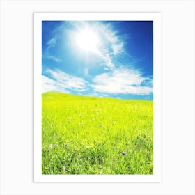 Field With Blue Sky Art Print