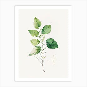 Oregano Leaf Minimalist Watercolour 2 Art Print