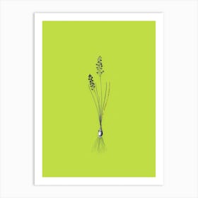 Vintage Autumn Squill Black and White Gold Leaf Floral Art on Chartreuse n.0498 Art Print