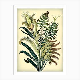 Kangaroo Paw Fern Vintage Botanical Poster Art Print