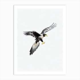 Golden Eagle B&W Pencil Drawing 3 Bird Art Print