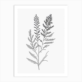 Alfalfa Herb William Morris Inspired Line Drawing Art Print