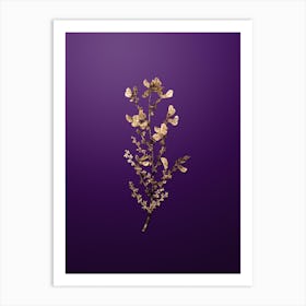 Gold Botanical Adenocarpus on Royal Purple n.0929 Art Print