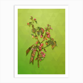 Vintage Judas Tree Botanical Art on Love Bird Green Art Print