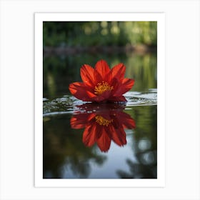 Flower in water Art Print