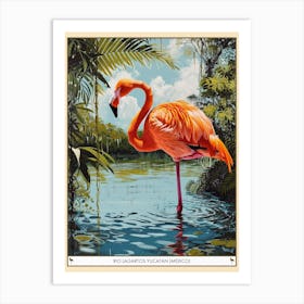 Greater Flamingo Rio Lagartos Yucatan Mexico Tropical Illustration 7 Poster Art Print