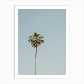 Palm Tree In Italy Art Print