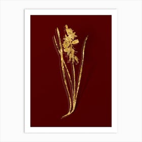 Vintage Drooping Star of Bethlehem Botanical in Gold on Red n.0330 Art Print