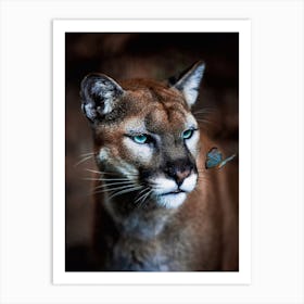 Wild Puma And Blue Butterfly Art Print