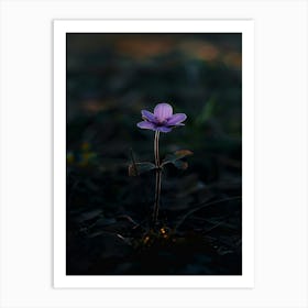 Small Purple Flower 1 Art Print