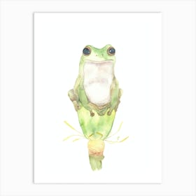 Frog On The Lotus Art Print