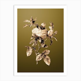 Gold Botanical Cabbage Rose on Dune Yellow n.1294 Art Print