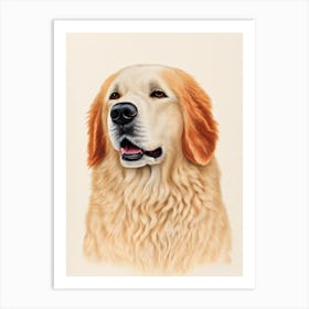 Kuvasz Illustration Dog Art Print