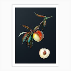 Vintage Peach Botanical Watercolor Illustration on Dark Teal Blue n.0940 Art Print