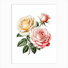 Vintage Galleria Style Rose Art Painting 1 Art Print