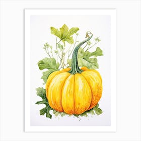 Delicata Squash Pumpkin Watercolour Illustration 1 Art Print