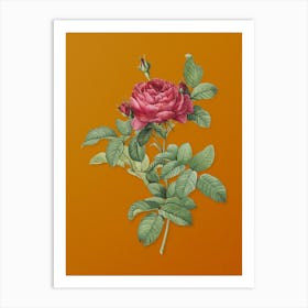 Vintage Red Gallic Rose Botanical on Sunset Orange n.0019 Art Print