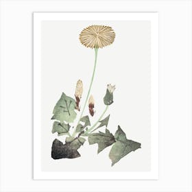 Hokusai Dandelion Art Print