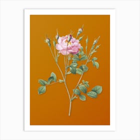 Vintage Anemone Flowered Sweetbriar Rose Botanical on Sunset Orange n.0851 Art Print