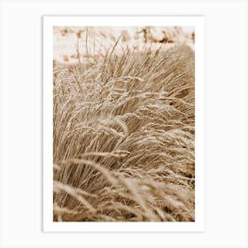 Beige Wheat Grass Art Print